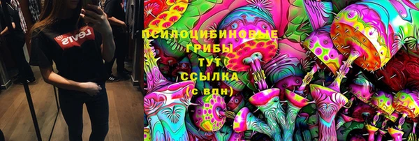 MESCALINE Горно-Алтайск