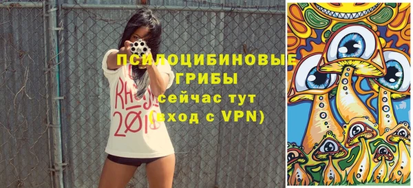 круглые Алексеевка
