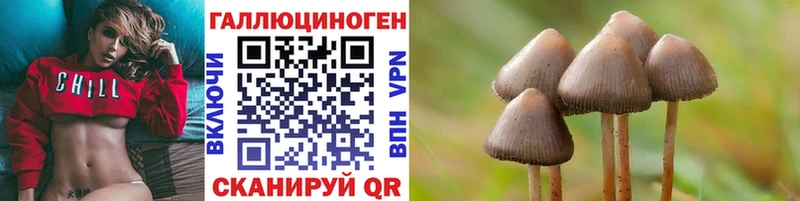 дарнет шоп  Лобня  Псилоцибиновые грибы Psilocybe 