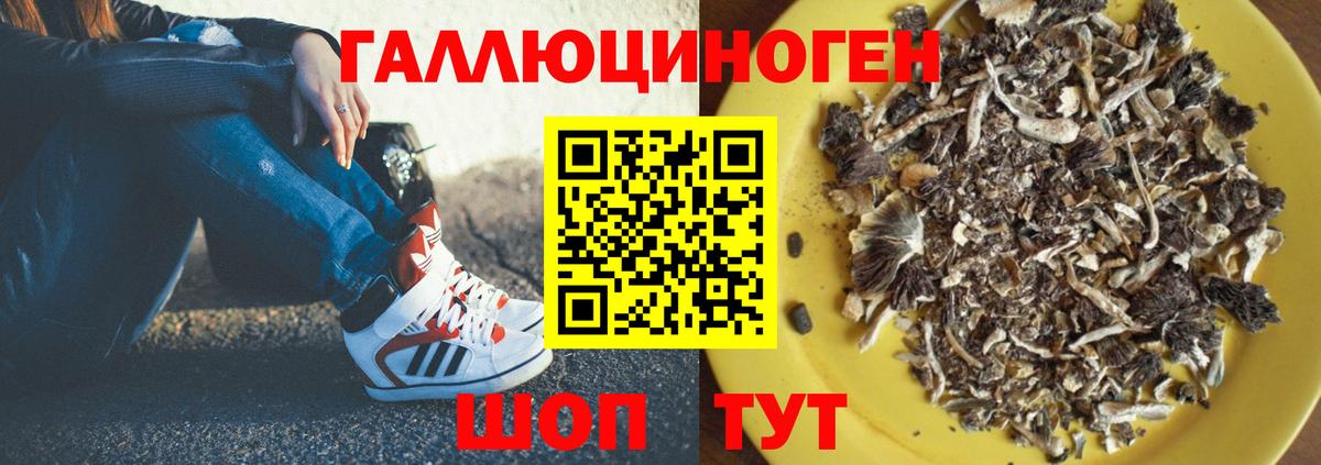 Псилоцибиновые грибы ЛСД Лобня